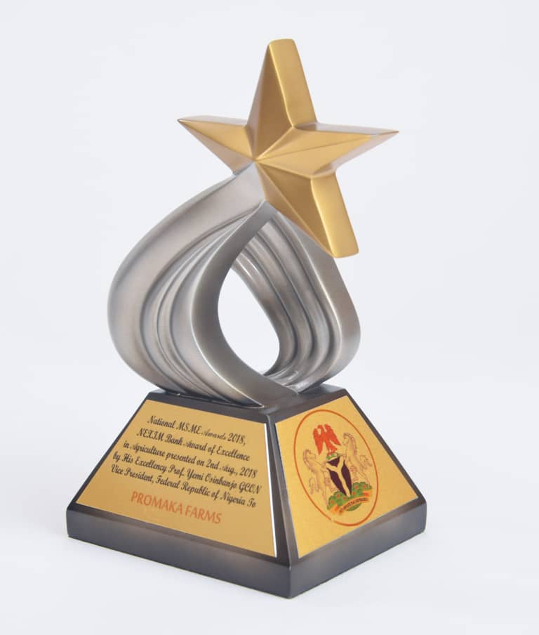Award Trophy