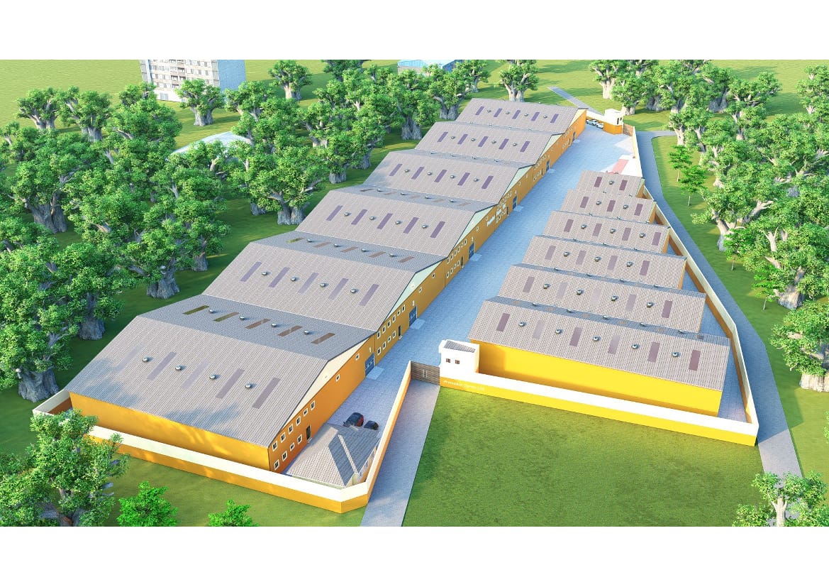 Packaging Facility