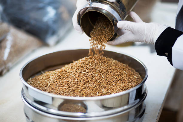 Grain Processing